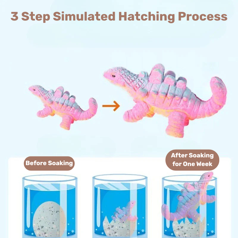Casecart Educational Water Soaked Dinosaur Egg for Kids