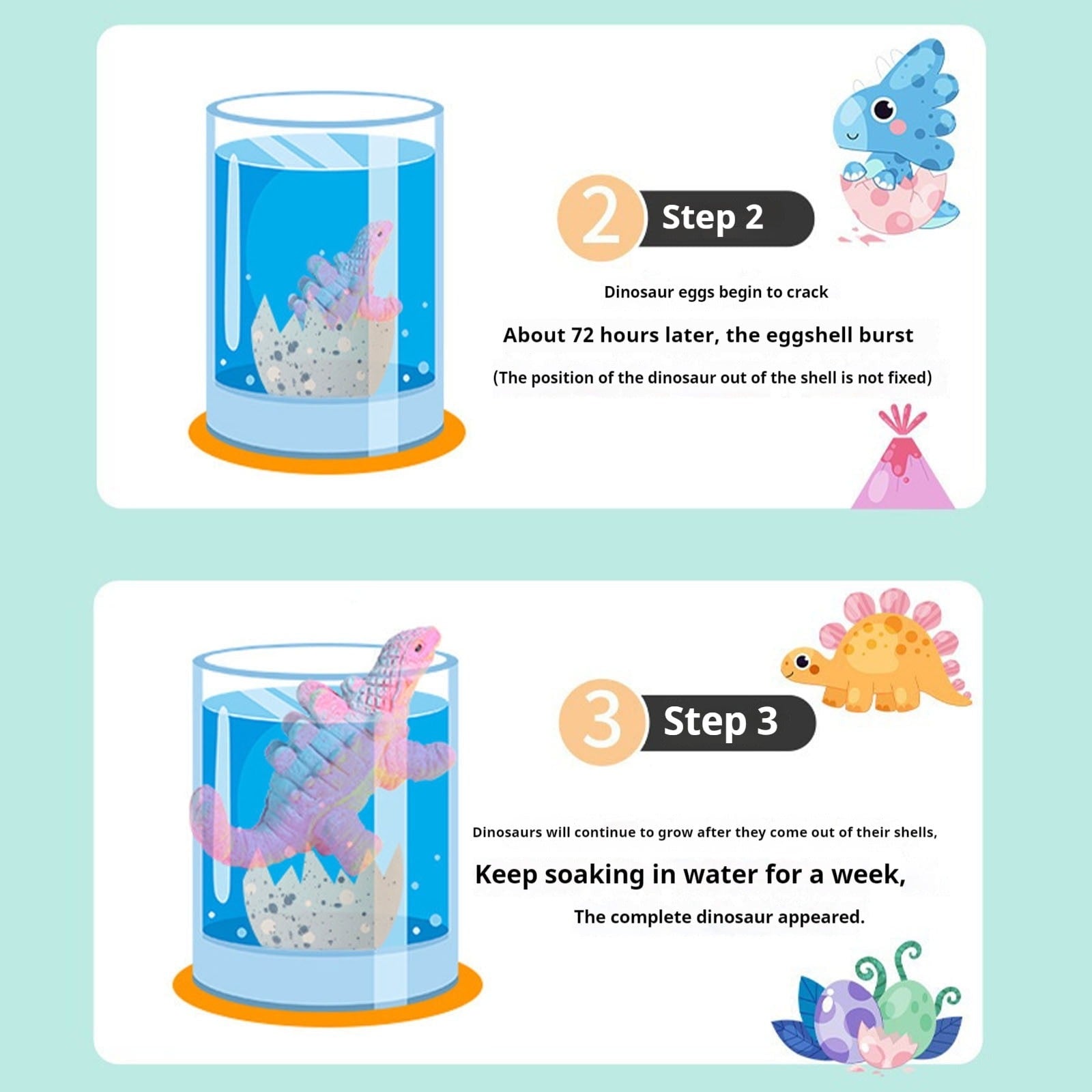 Casecart Educational Water Soaked Dinosaur Egg for Kids