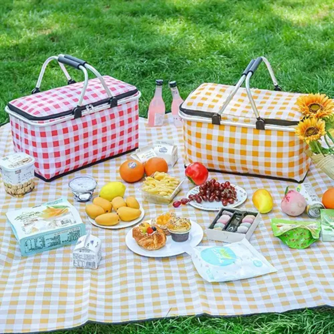 Casecart Multi-Purpose Insulated Foldable Picnic Basket with Aluminum Frame