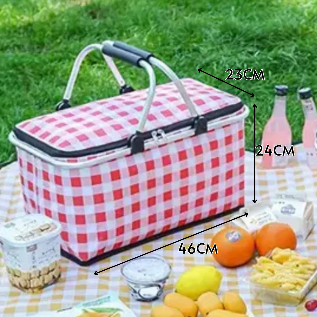 Casecart Multi-Purpose Insulated Foldable Picnic Basket with Aluminum Frame