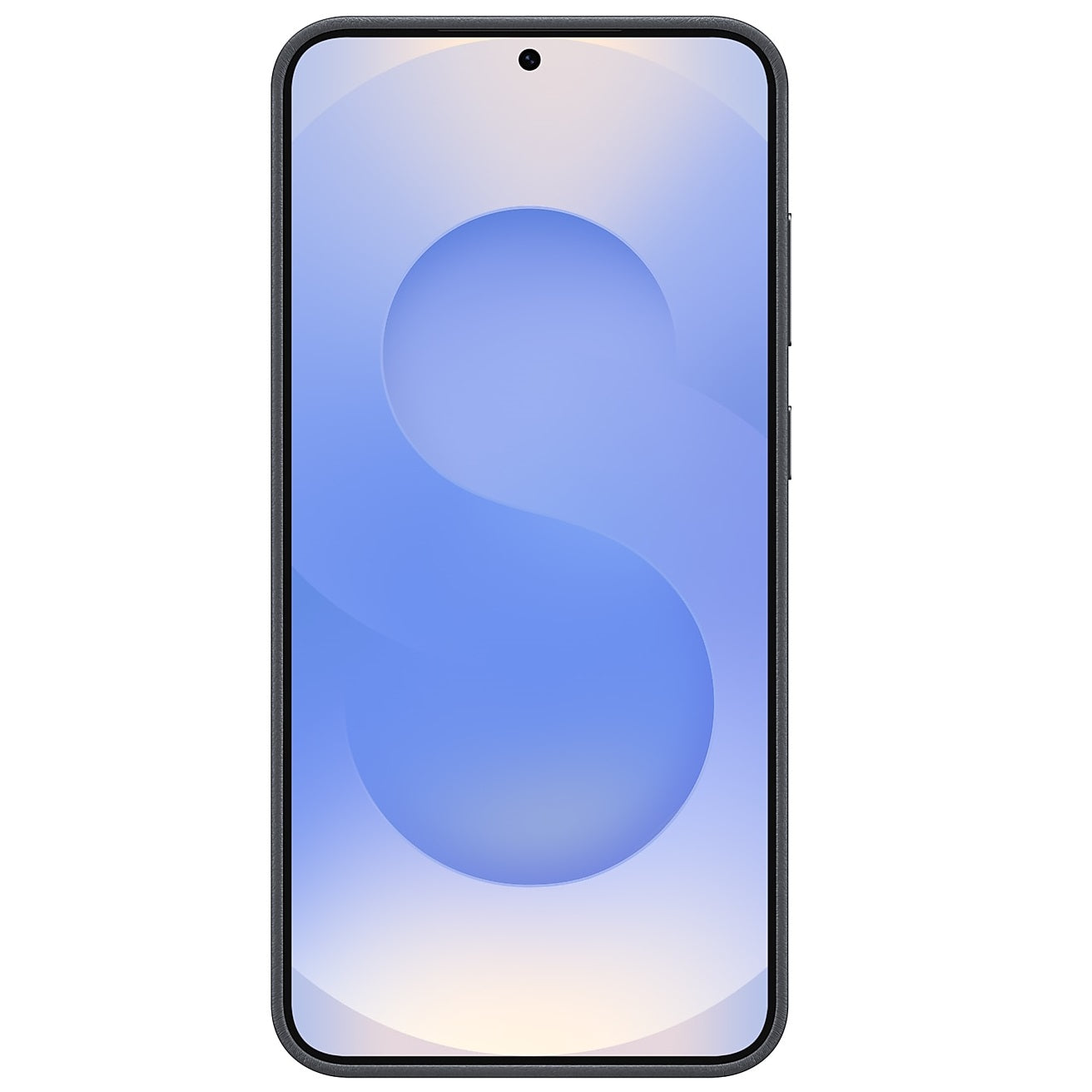 Samsung Galaxy S25 Leather Back Cover Case - Black